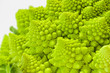 A green cabbage closeup