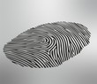 Fingerabdruck1510a