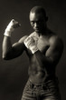 Boxer