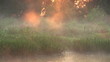 Sun rises over swamp