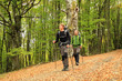 Photo: Autumn walk. Autumn walk.