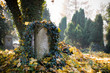 Foto: Old evangelical graveyard Old evangelical graveyard
