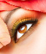 Autumn Makeup. Fall Make-up Closeup