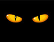 Wild cat eyes
