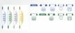 Set of the New Year's  labels