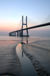 Ponte Vasco da Gama I