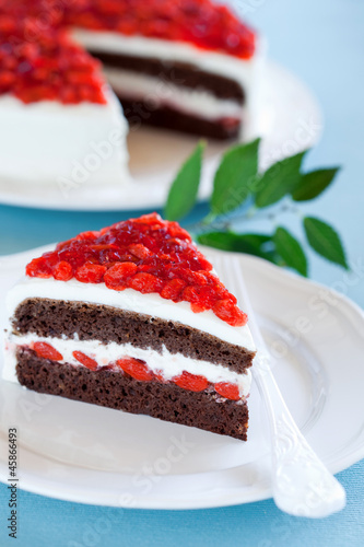 Photo: Chocolate cake Chocolate cake
