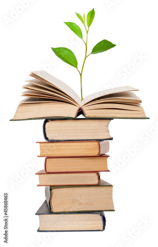 Photo: Green sprout growing from open book Green sprout growing from open book