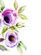 Beautiful Blue flower