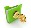 Golden key in a green folder.
