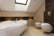 Bathroom interior