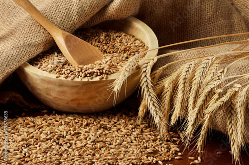 Photo: Grains and ears of wheat Grains and ears of wheat