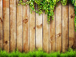 grass