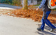 Foto: Laub wegblasen Laub wegblasen