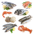 Fisch Collage