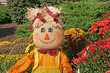 Decorative fall scarecrow with Chrysanthemums