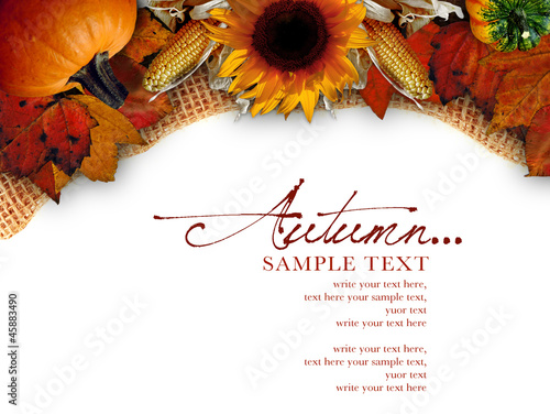 Photo: Autumn Background Autumn Background