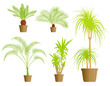 House plants vector background