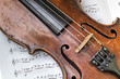 The old violin