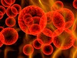 red cells