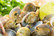 clams with salt and herbs