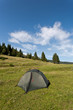 Tent on the meadow.