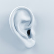 3d ear