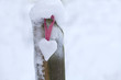 Herz aus Schnee