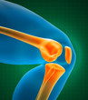 knee xray