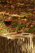 Photo: Red Wine On Red Pine Stump Red Wine On Red Pine Stump