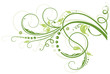 Frühling, frame, Blätter, Laub, Ranke, Grüntöne