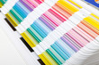 Color Guide Swatch, closeup