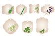 Vintage stickers with kitchen herbs