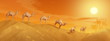 Camels in the desert