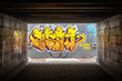 Dark tunnel with grafiti