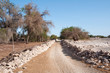Gravel road at  pampa del Tamarugal desert (Chile)