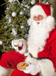 Cookies and milk for santa