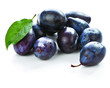 Isolated plums with on white background