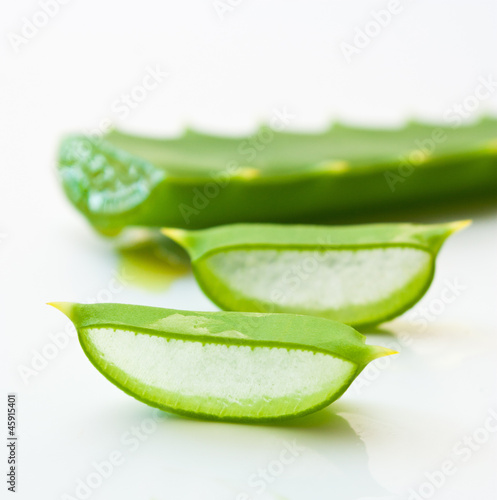 Photo: cut aloe leaves cut aloe leaves