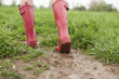 Photo: Pink Rains Boots Pink Rains Boots