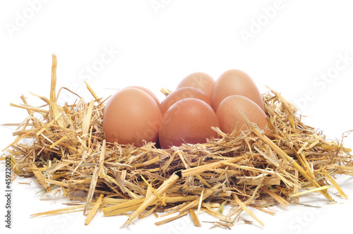 Photo: brown eggs in a nest brown eggs in a nest