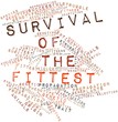 Word cloud for Survival of the Fittest