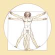 Leonardo da Vinci's Vitruvian Man