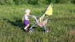 Video: child pushes stroller on summer lawn child pushes stroller on summer lawn