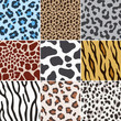 seamless animal skin fabric pattern texture