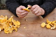 girolles