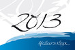 2013 brush