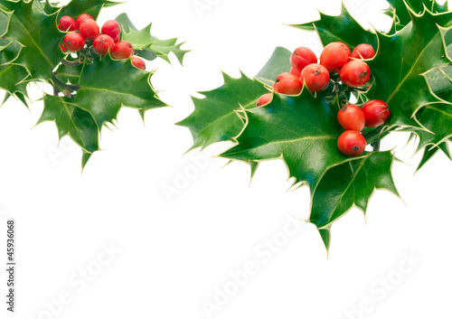 Photo: Holly Holly