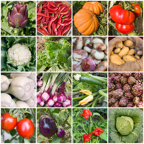 Photo: collage of vegetables collage of vegetables
