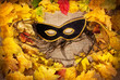 Halloween mask